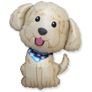 Balon Labradoodle